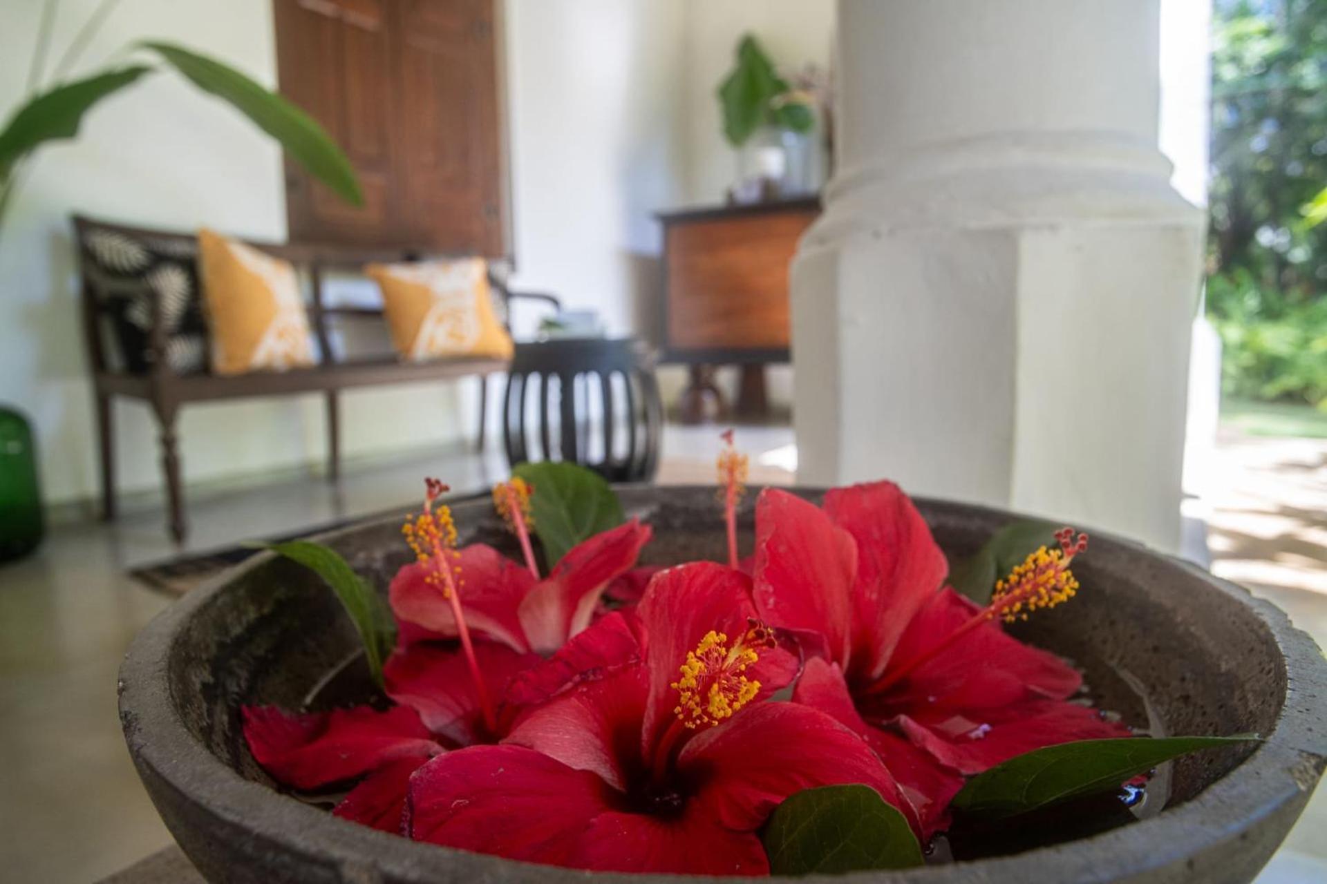 Mo River House Luxury Villa Hikkaduwa Exterior foto